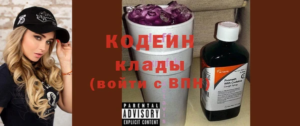 спиды Пересвет