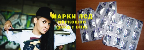 спиды Пересвет